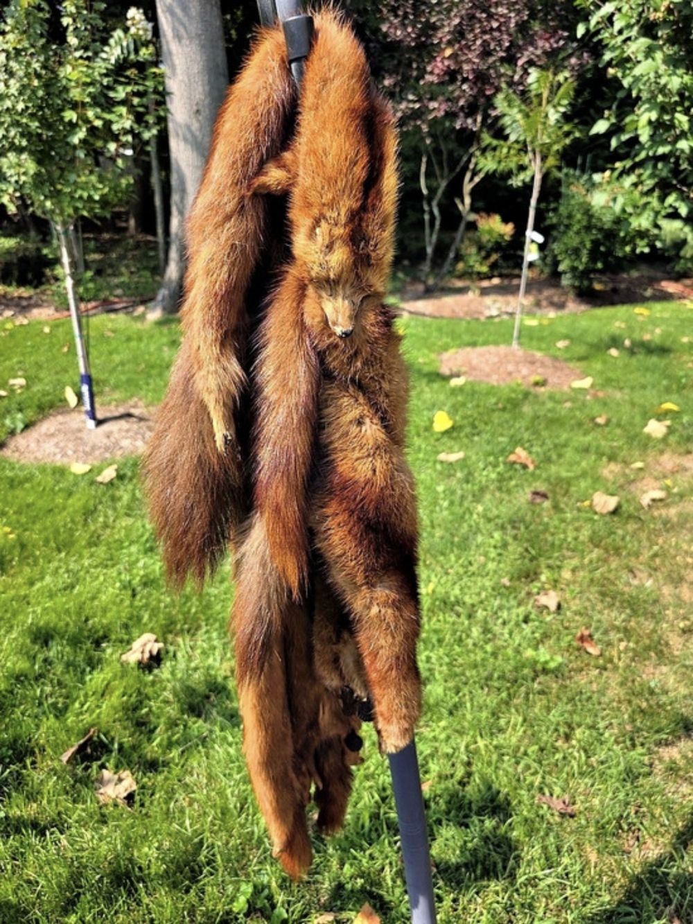 Brown Fur Wrap